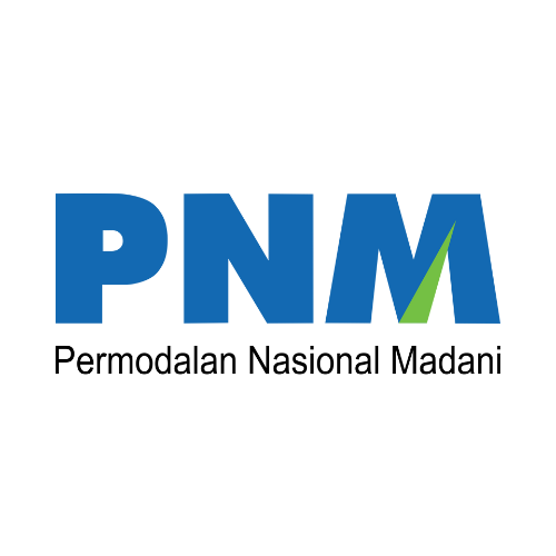PNM Logo